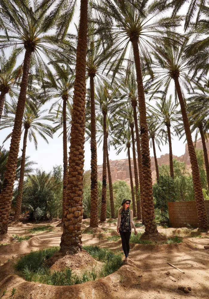 Monica walking under super tall palm trees on the Heritage Trail, one of the best places to visit in AlUla, Saudi Arabia.