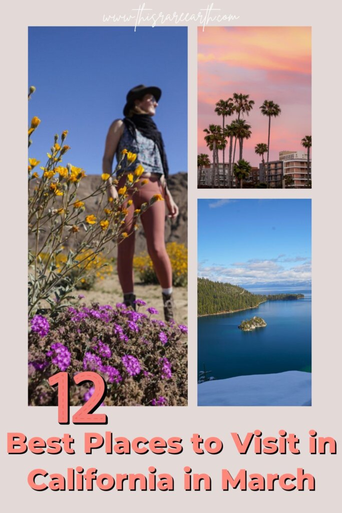 Best Places to visit in California in March Pinterest pin.