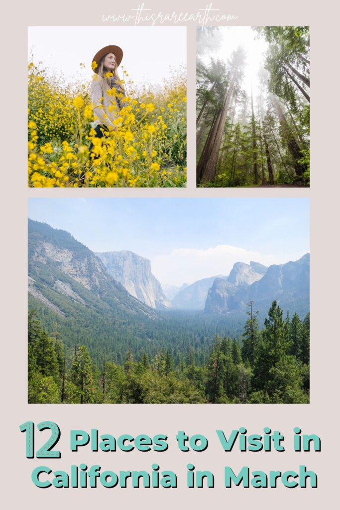 Best Places to visit in California in March Pinterest pin.