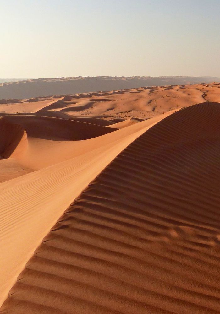 Bright orange sand dunes stretching out in the distance in Oman's desert.